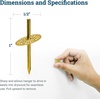 image:imagePHS Picture Hanging Nails Holds 20 lb 35 Pack One Step Hooks  Onestep brass picture hanging nails holds 20 lb disk design nail for small frames and photos on drywall